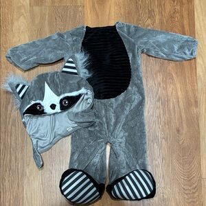 Spirit Baby Raccoon Costume